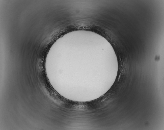 X0000115240695200911201621