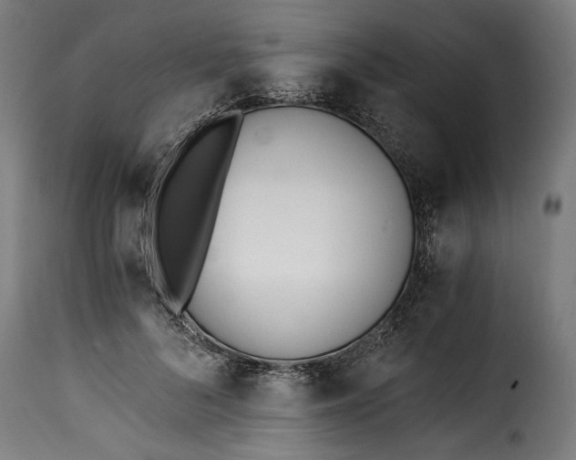 X0000115240696200911201621