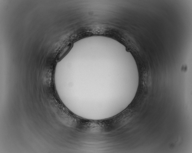 X0000115240697200911201621