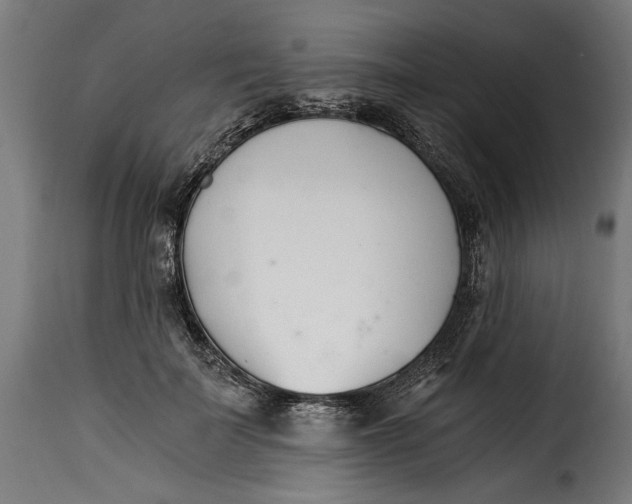 X0000115240699200911201620