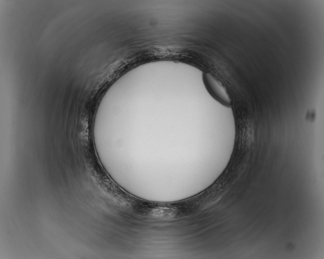 X0000115240700200911201620