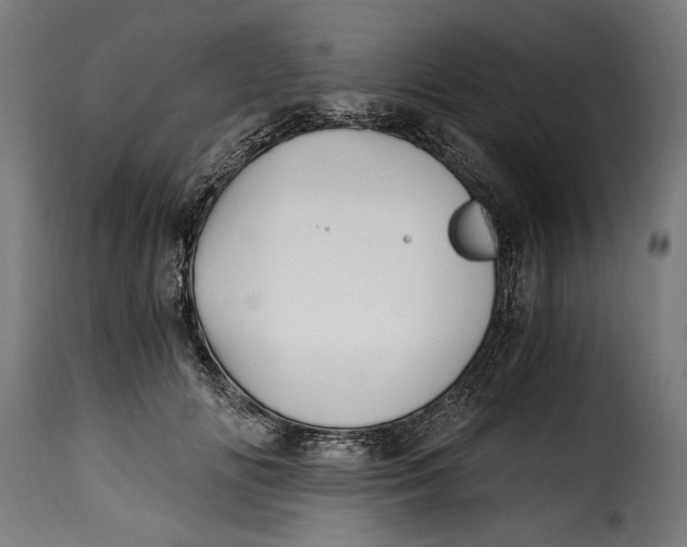 X0000115240702200911201620