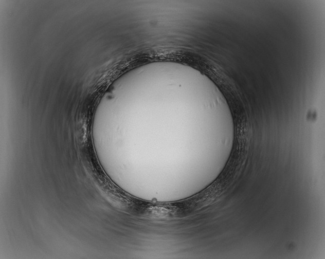 X0000115240703200911201620