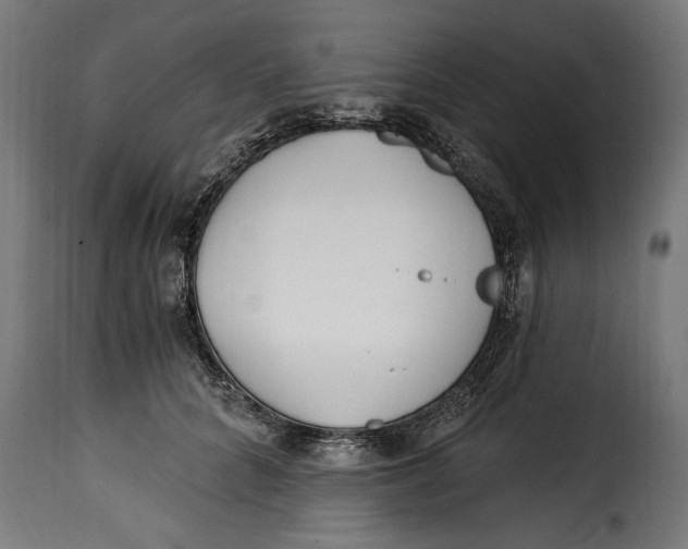 X0000115240704200911201620