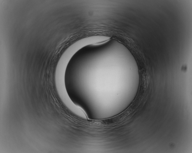 X0000115240705200911201620