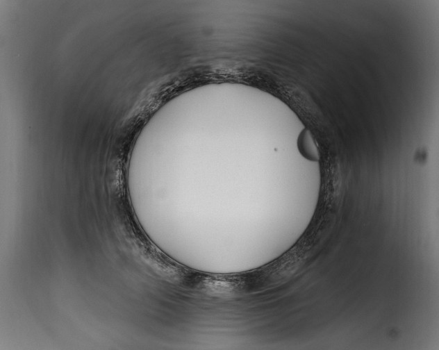 X0000115240706200911201620
