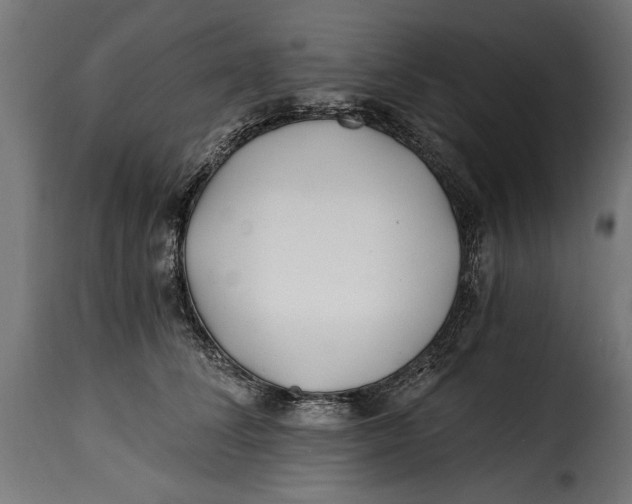 X0000115240708200911201620