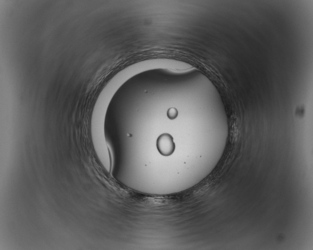 X0000115240713200911201620