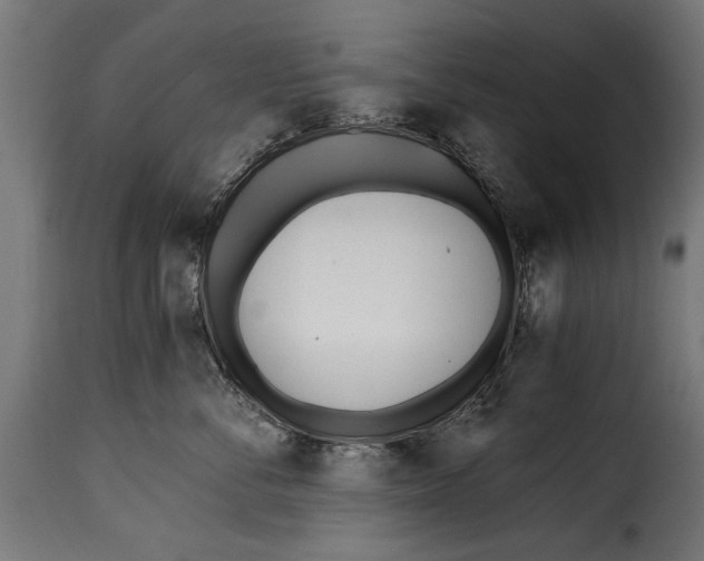 X0000115240716200911201620
