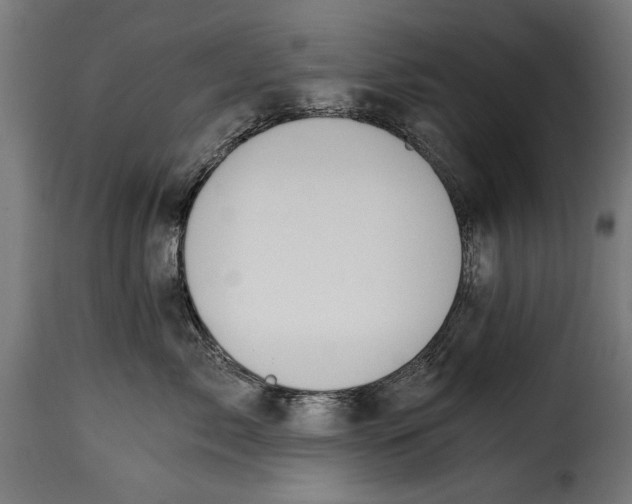 X0000115240717200911201620