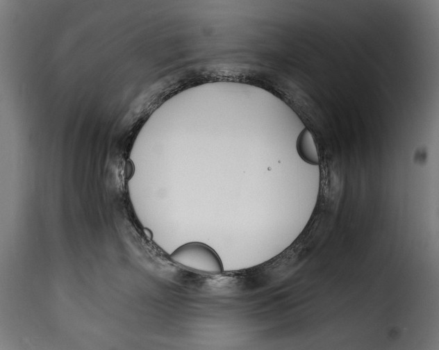 X0000115240718200911201620
