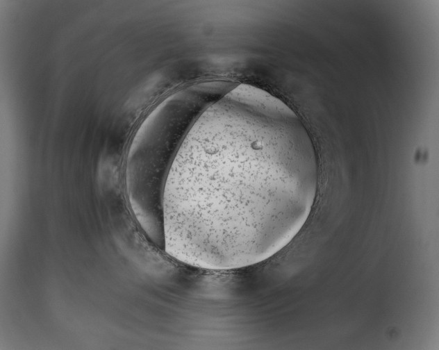 X0000115240720200911201620