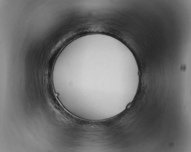 X0000115240722200911201619