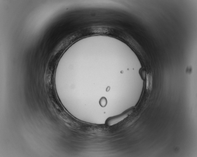 X0000115240723200911201619