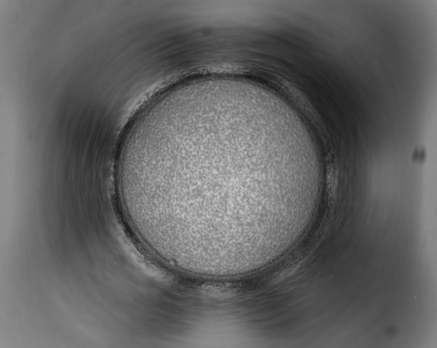 X0000115240725200911201619