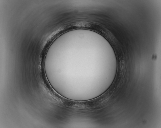 X0000115240727200911201619