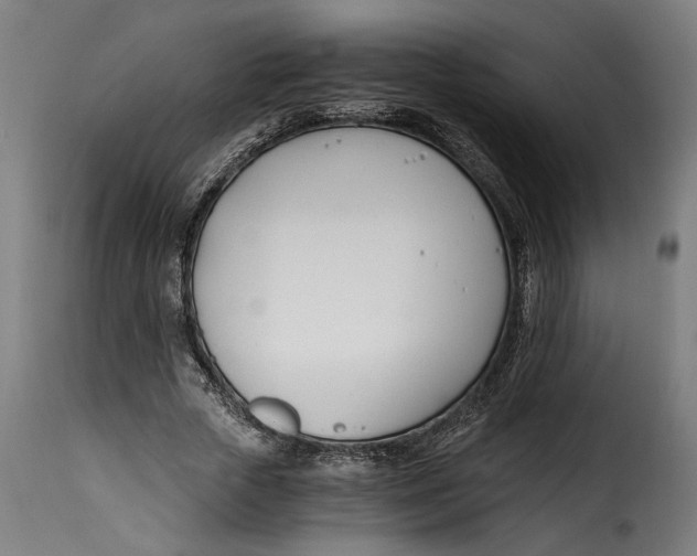 X0000115240729200911201619