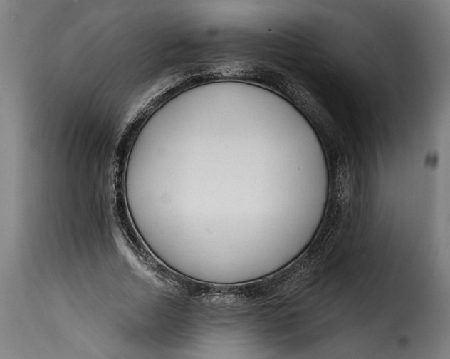 X0000115240730200911201619