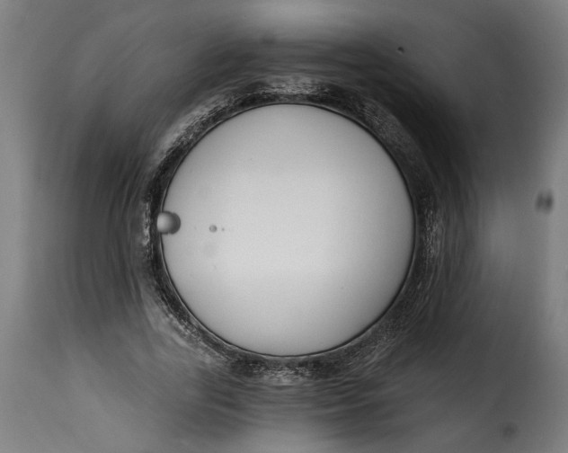 X0000115240731200911201620