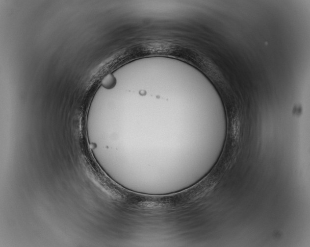 X0000115240733200911201620