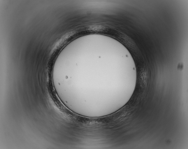 X0000115240734200911201620