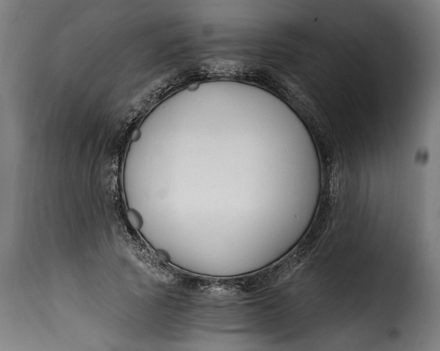 X0000115240737200911201620