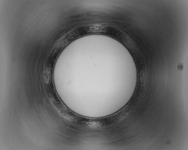 X0000115240741200911201620