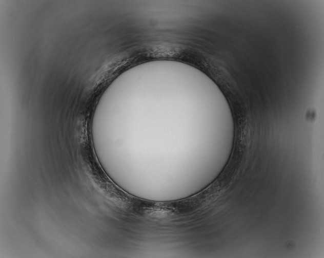 X0000115240743200911201620