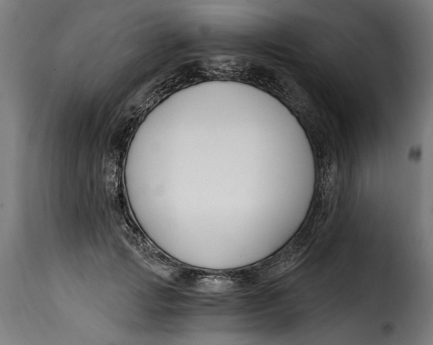 X0000115240749200911201620