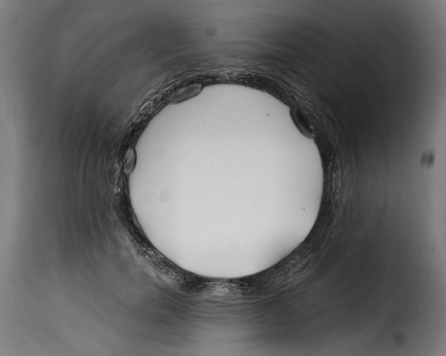 X0000115240750200911201620