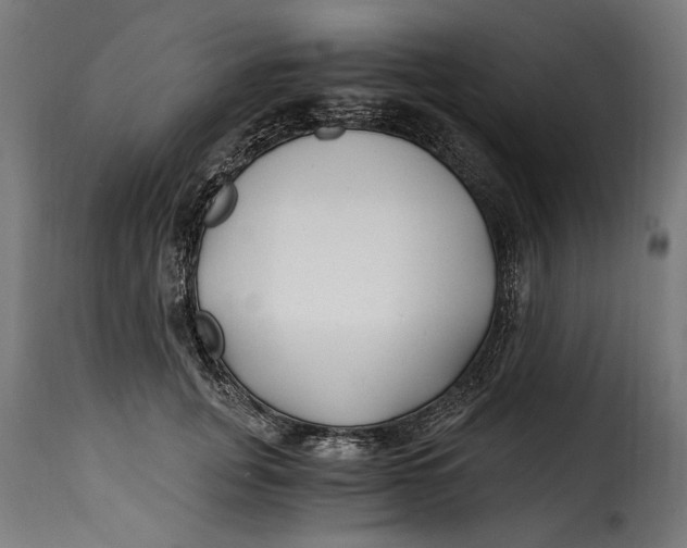 X0000115240751200911201620
