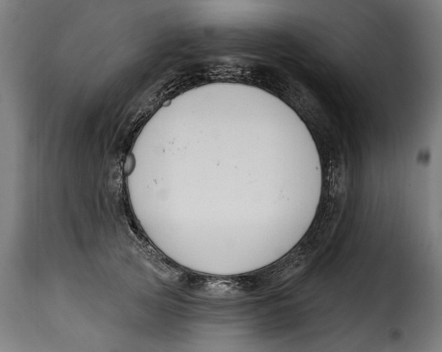 X0000115240753200911201620