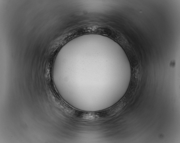 X0000115240754200911201620