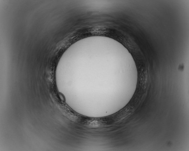 X0000115240755200911201620