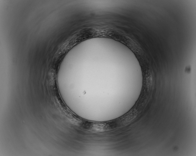 X0000115240757200911201620
