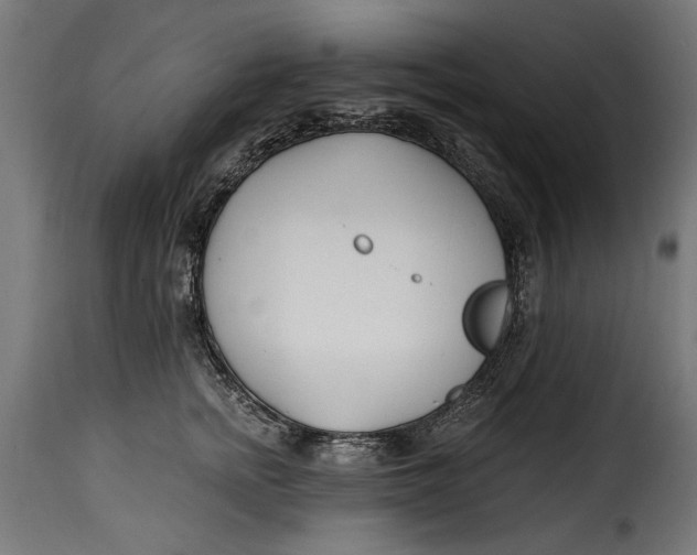 X0000115240758200911201620