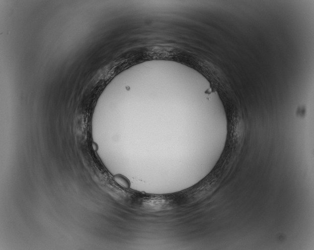 X0000115240759200911201620