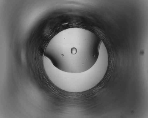 X0000115240762200911201620