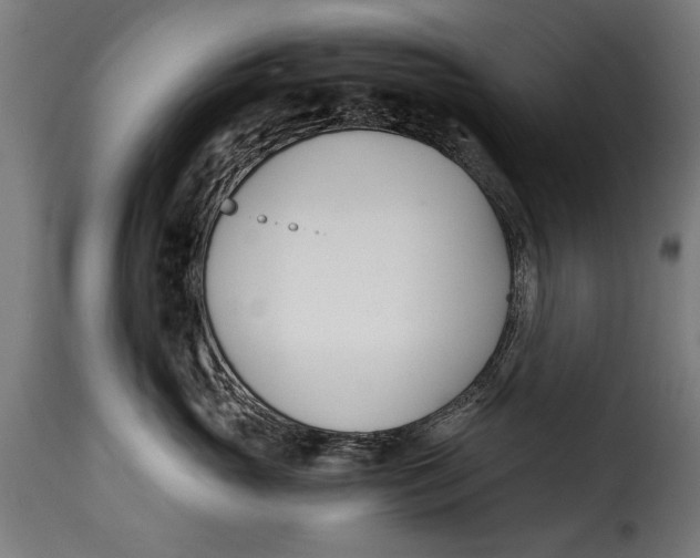 X0000115240765200911201620