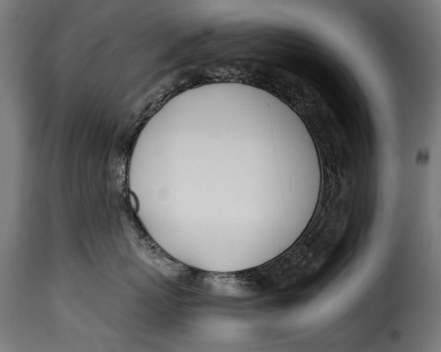 X0000115240767200911201620