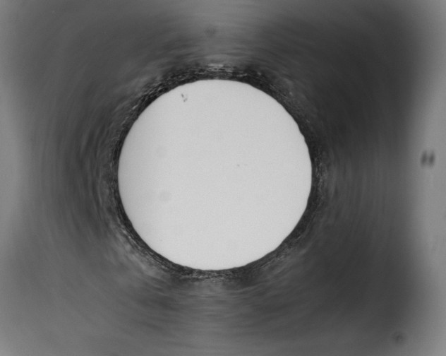 X0000115240769200911201619