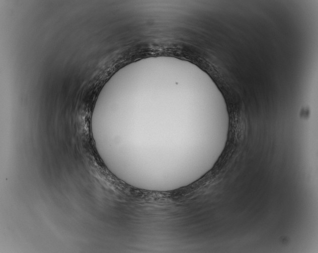 X0000115240770200911201619