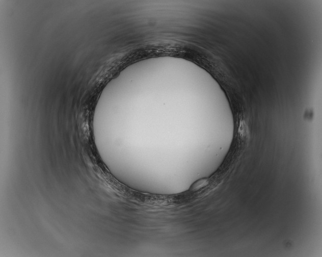 X0000115240771200911201619