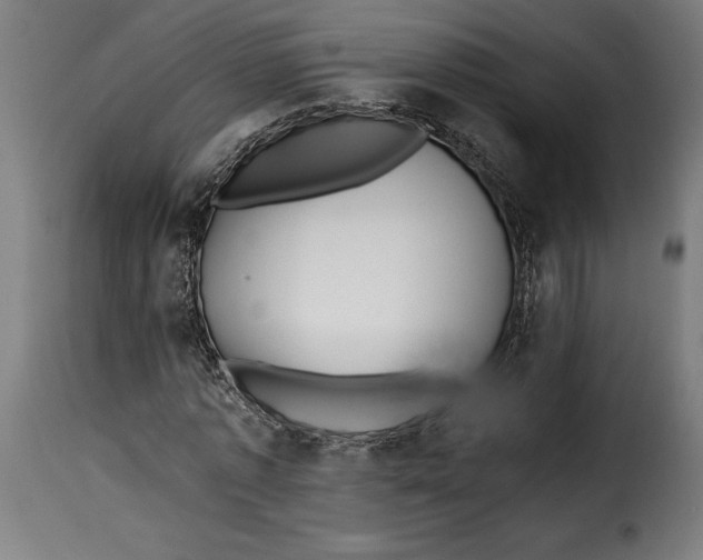 X0000115240773200911201619