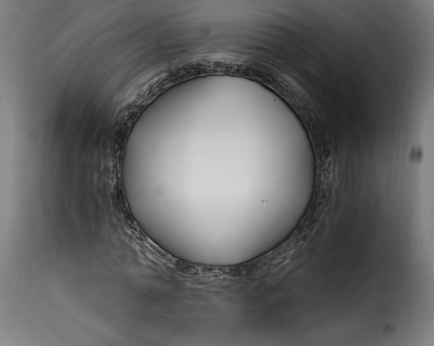 X0000115240774200911201619