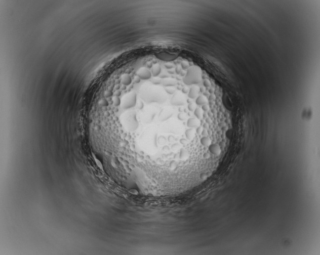 X0000115240776200911201619