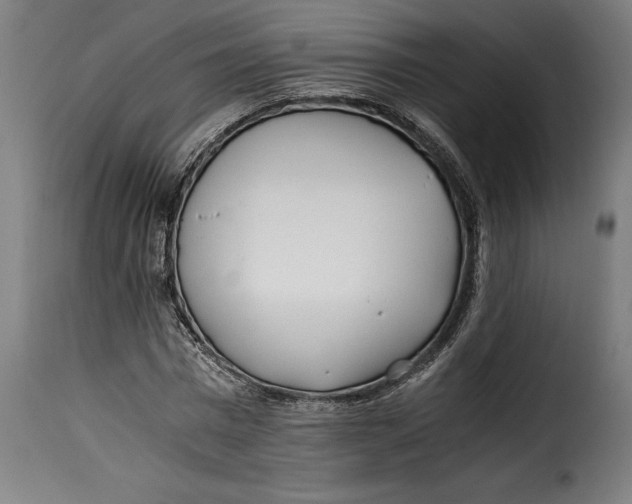 X0000115240777200911201619