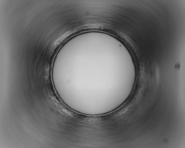 X0000115240778200911201619