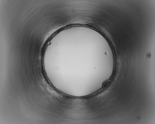 X0000115240779200911201619