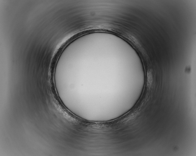 X0000115240780200911201619